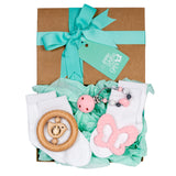 Baby Teething Gift Box